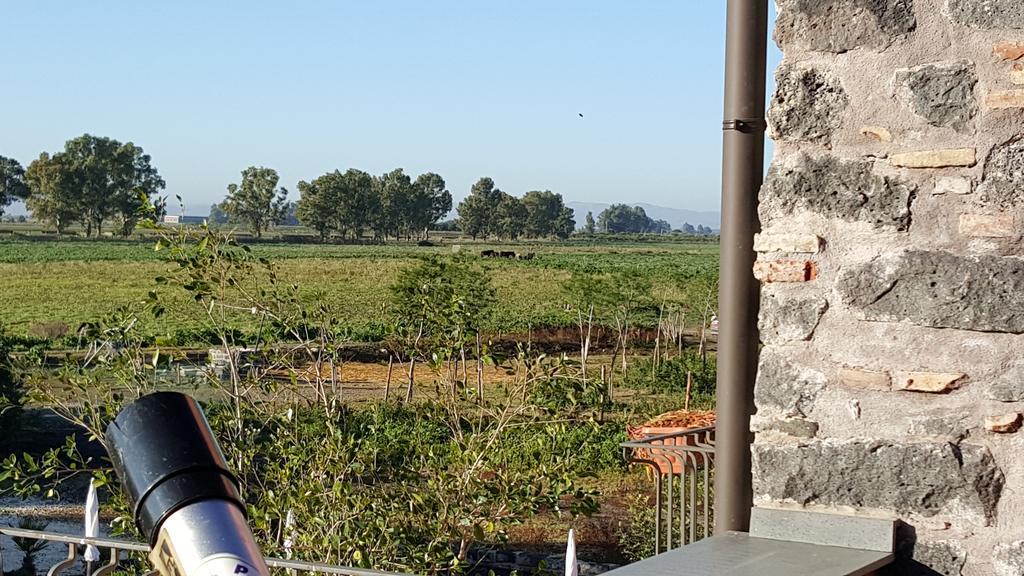 Oasi Di Francesca Villa La Rotondella Luaran gambar